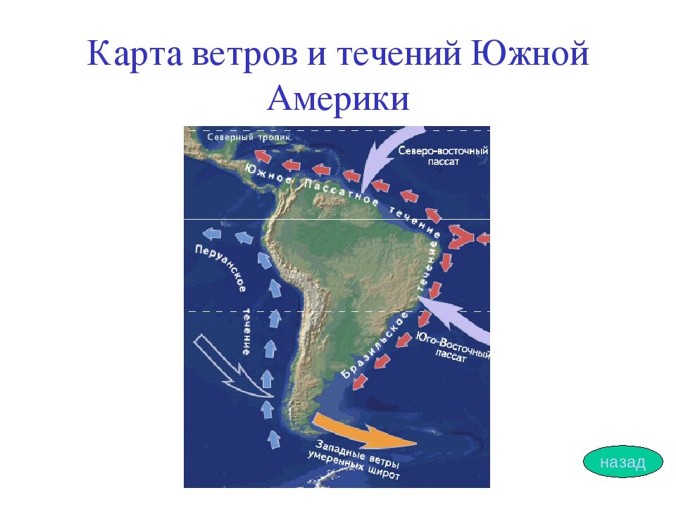Холодные течения у берегов южной америки. Южная америка океанические течения. Южная америка перуанское течение. Тёплые течения: гвианское, бразильское. Перуанское течение на карте.