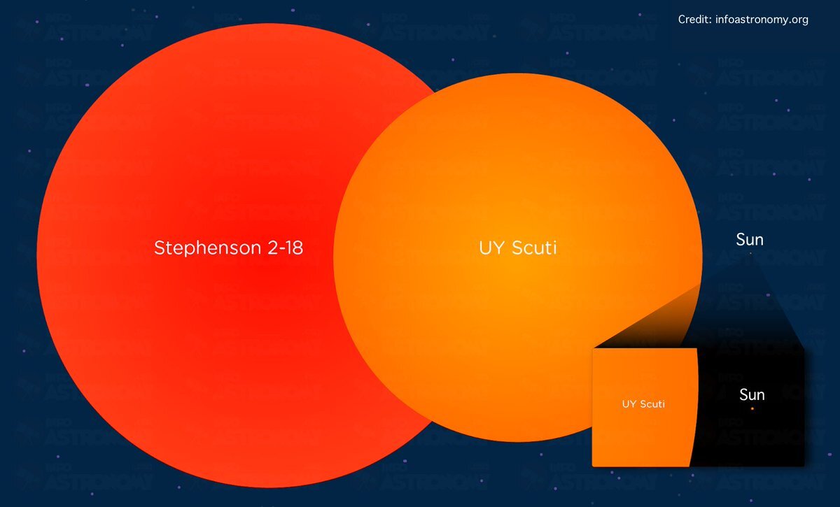 Фото: Твиттер Tiago Marques / Сравнение размеров звезд Стивенсон 2-18, UY щита и Солнца