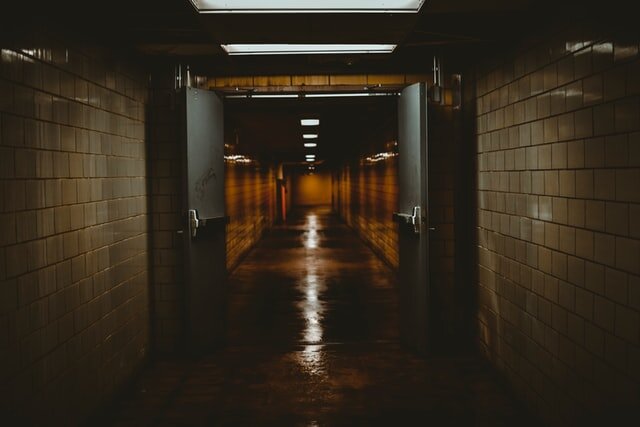 Photo by Andy Li on Unsplash