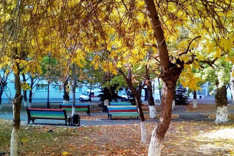 парк на территории больницы