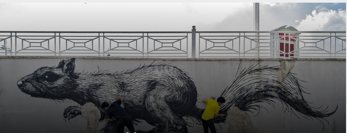 Василий Кудрявцев / vasiliykudryavtsev.com