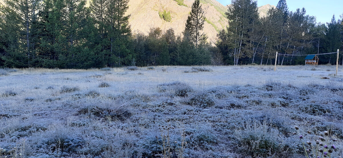 солнце встает, трава еще под снегом