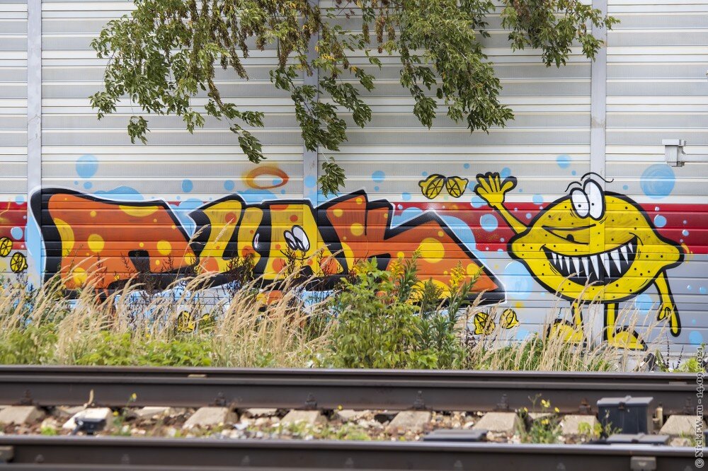 2. Граффити на шумке ЖД © NickFW.ru — 14.09.2021г.