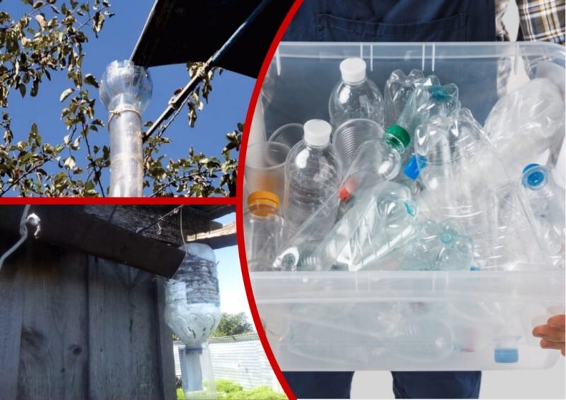 Оригинальные поделки из пластиковых бутылок – как источник вдохновения для дачного творчества
