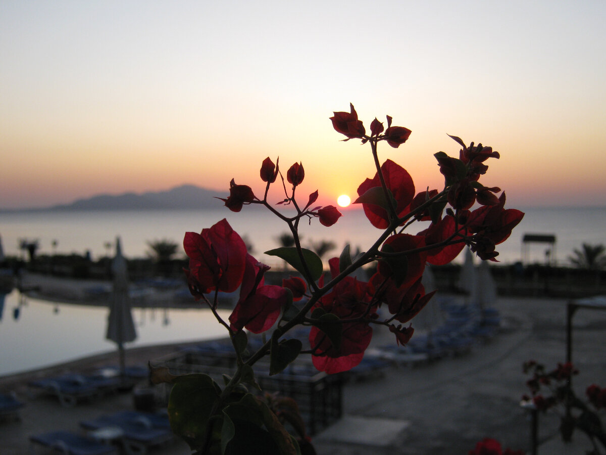 Остров Тиран на рассвете, Египет, Шарм-Эль-Шейх... Фото автора