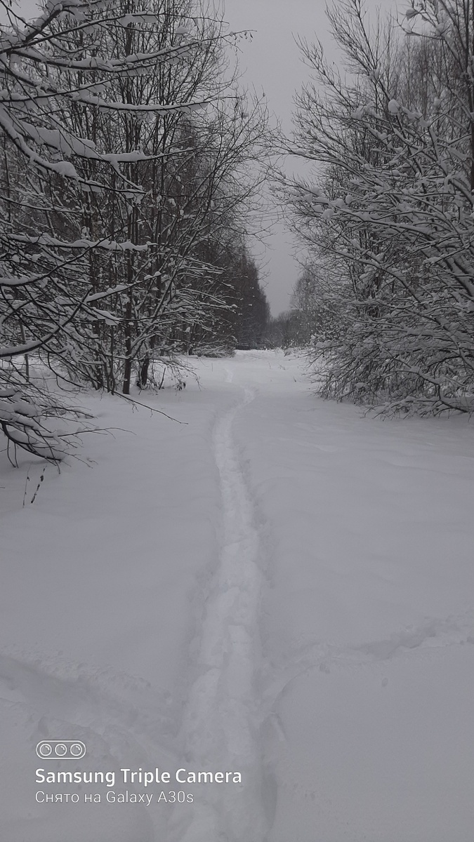 Фото автора.