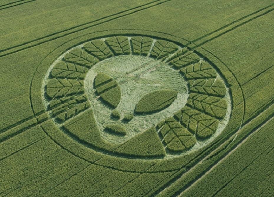 В апреле 2007 года Моник Клинкенберг наткнулась на то, что изменило ее жизнь. Это были необычные геометрические фигуры, вытоптанные на кукурузном поле. Главной странностью было то, что изображения были точны и безукоризненны.