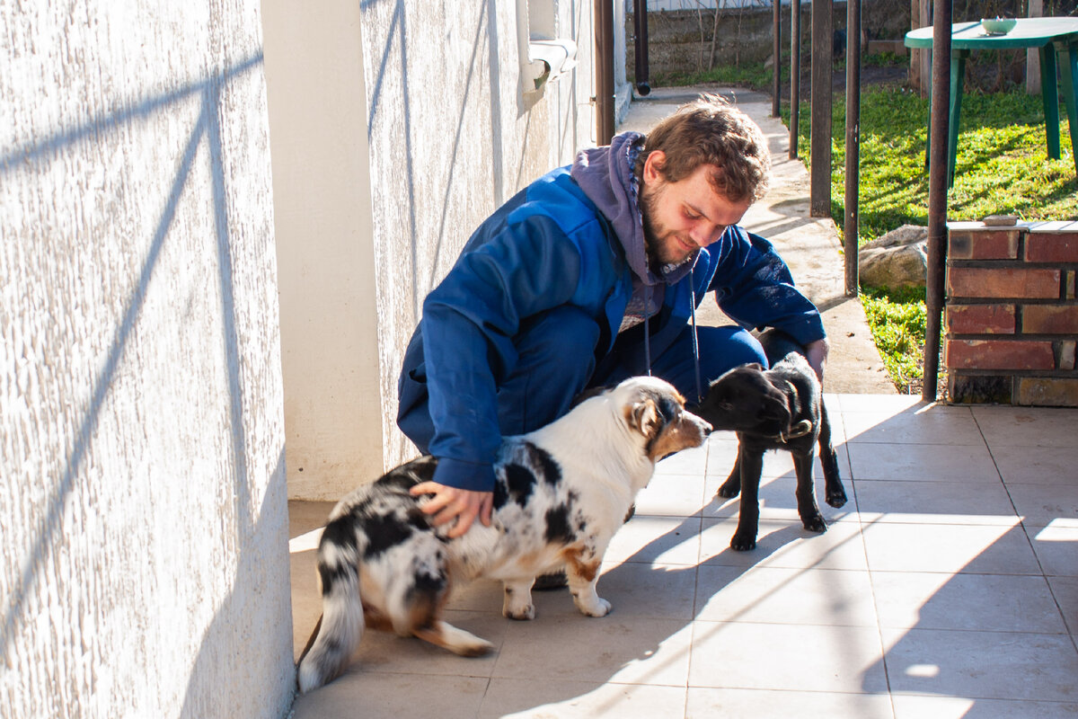 На участке со мной, как всегда, Тильда и Снуп