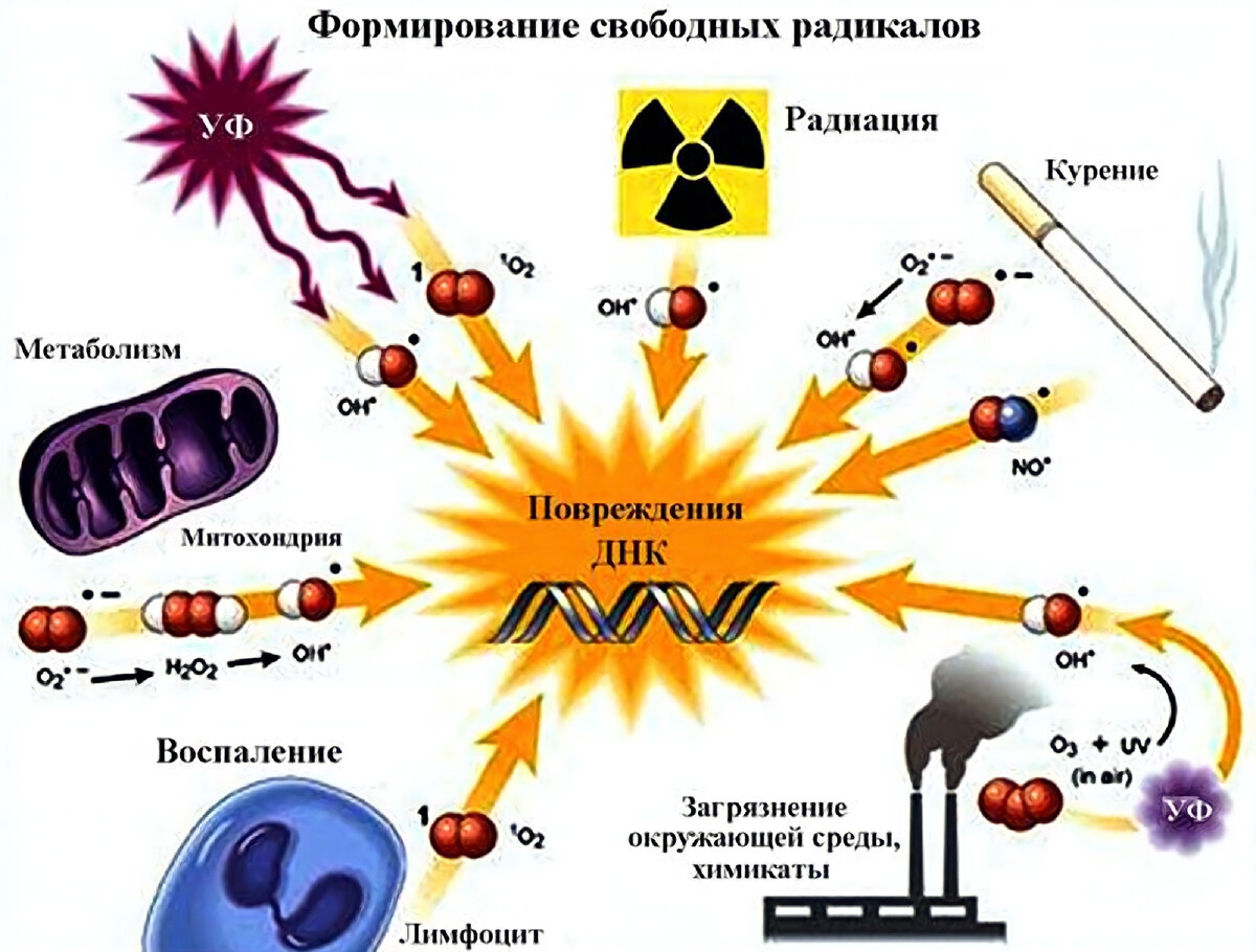 Свободные радикалы картинки