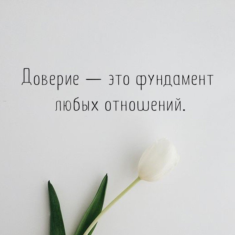 Яндекс картинки