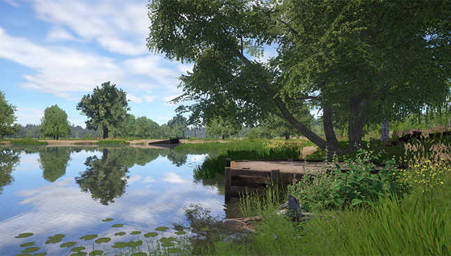 Янтарное озеро