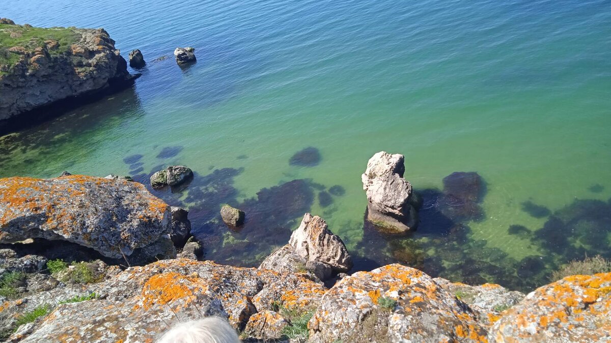 Ярко-рыжие накипные лишайники на Казантипских камнях