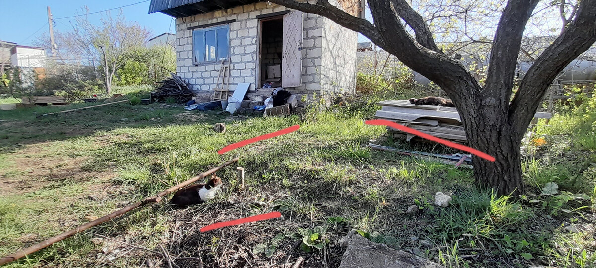 После сытного ужина