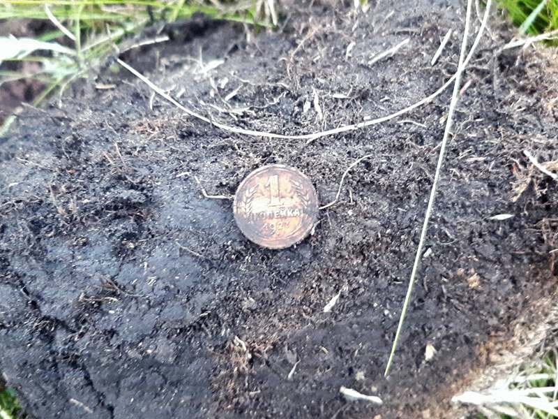 Довольно редкое явление - первый же цветной сигнал оказался монетой - 1 копейка ПВСС  1927 года.