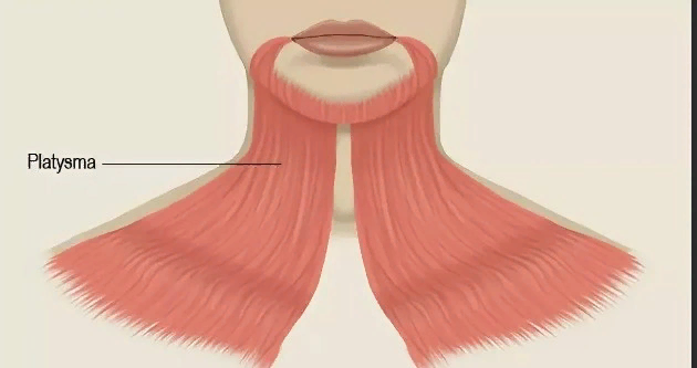 carefl - свободный доступ