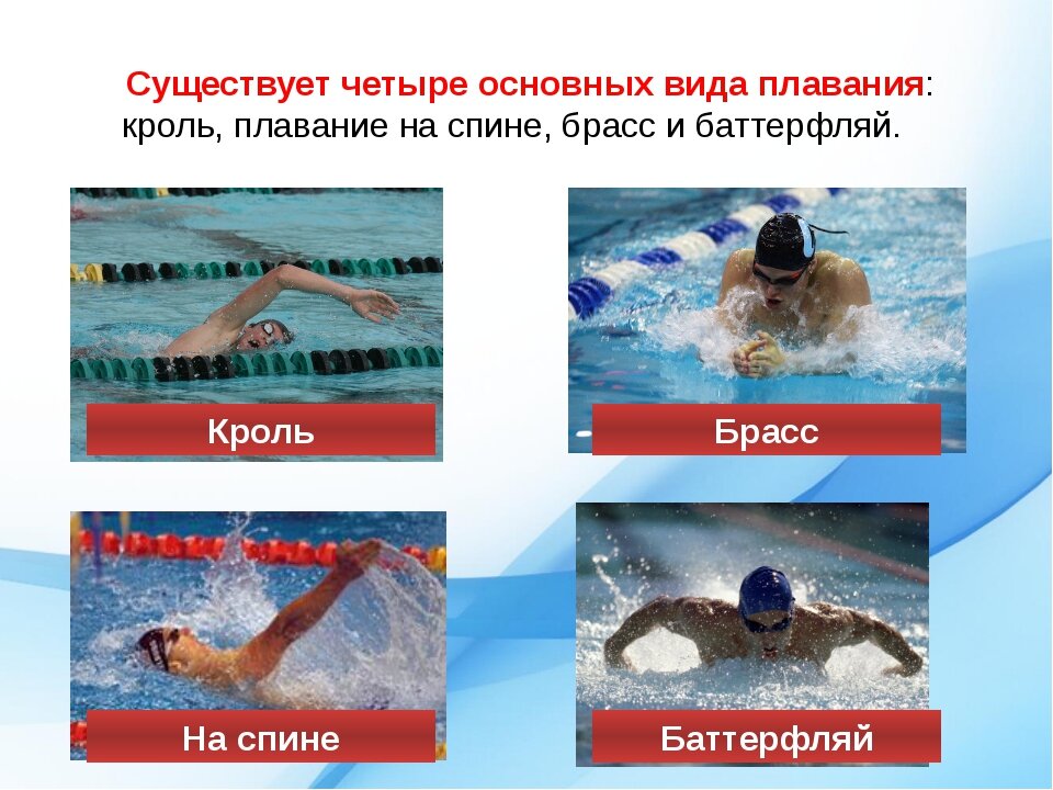 Виды плавания стили названия и фото