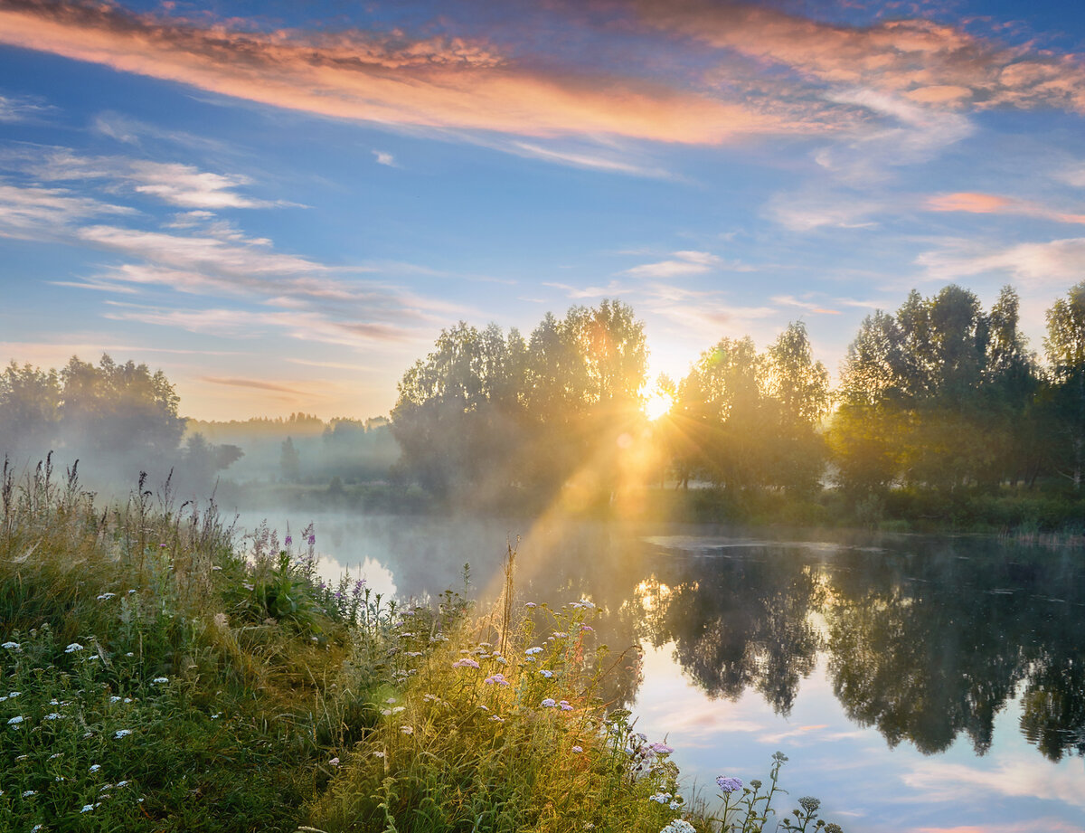 яндекс картинки