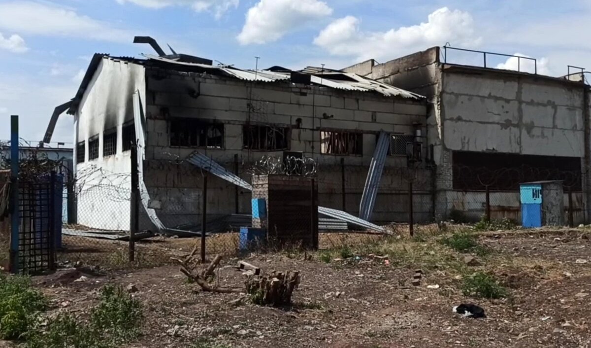     / РИА Новости / Пресс-служба Южного военного округа