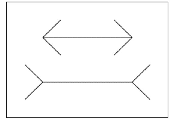Фото из свободных источников интернета 