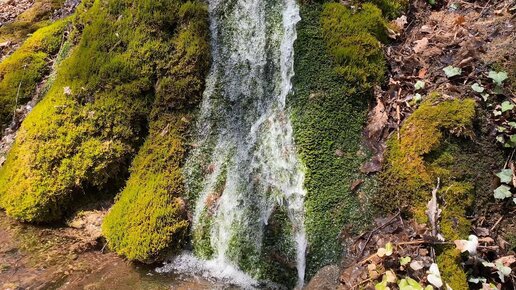 WHERE THEY TAKE THE WATER. Thermal spring in the mountains. I conquered the Sleeping Beauty