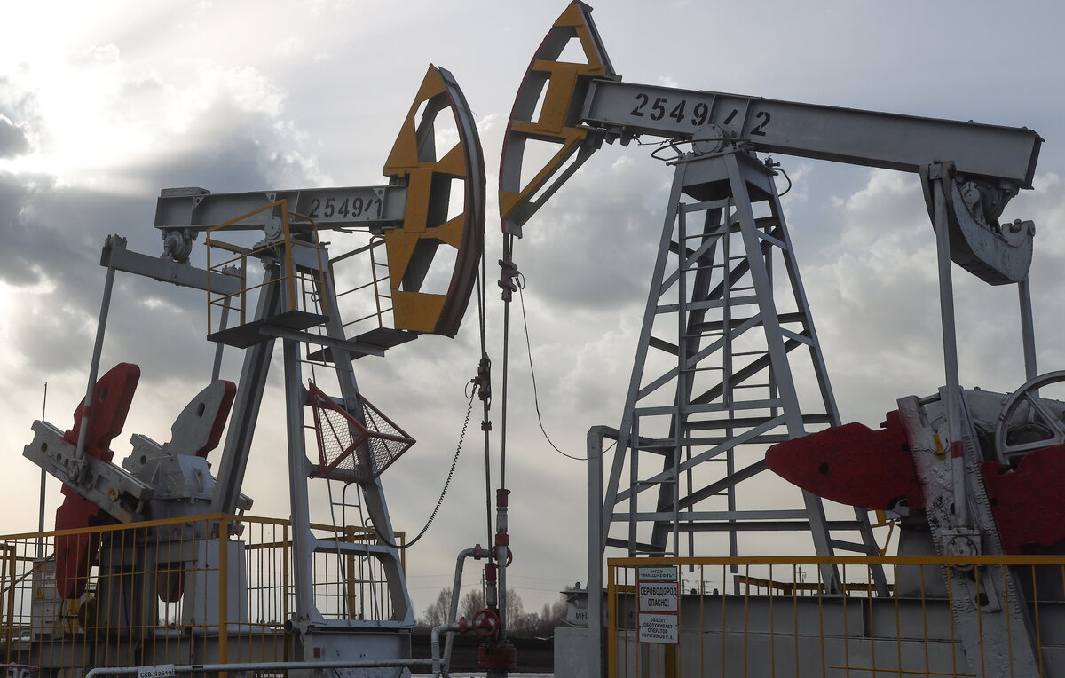 Егор Алеев/ТАСС