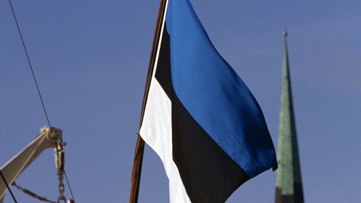    Государственный флаг Эстонии на одном из кораблей в Таллинском морском торговом порту© РИА Новости / Владимир Федоренко