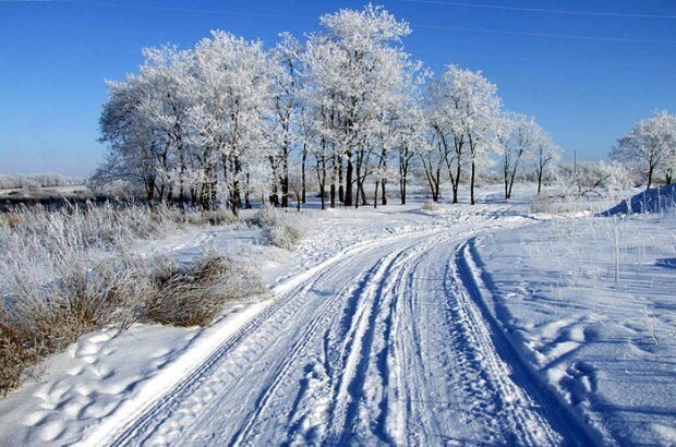    Сибирский антициклон принесет в Оренбуржье аномальное похолодание Белов Михаил Александрович
