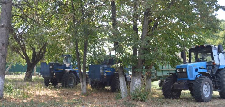 Фото автора. Август 2023. Обеденный перерыв.