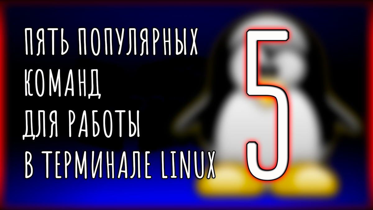 Пять популярных команд для работы в терминале Linux