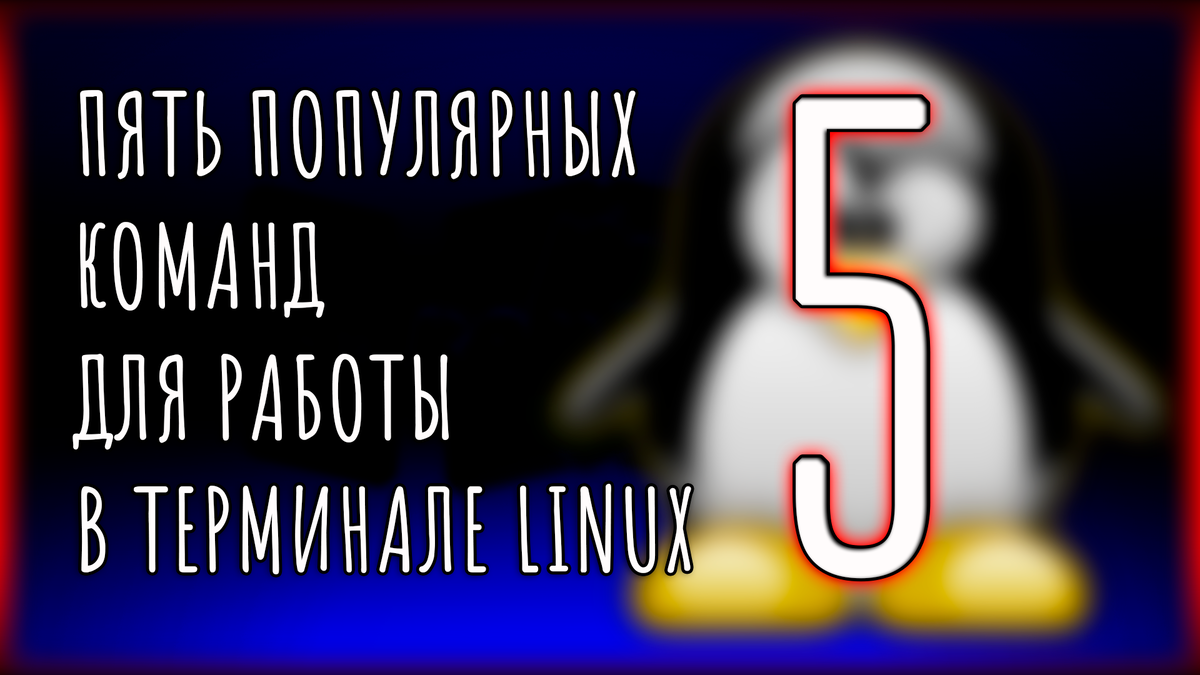 Пять популярных команд для работы в терминале Linux | Компик | Дзен