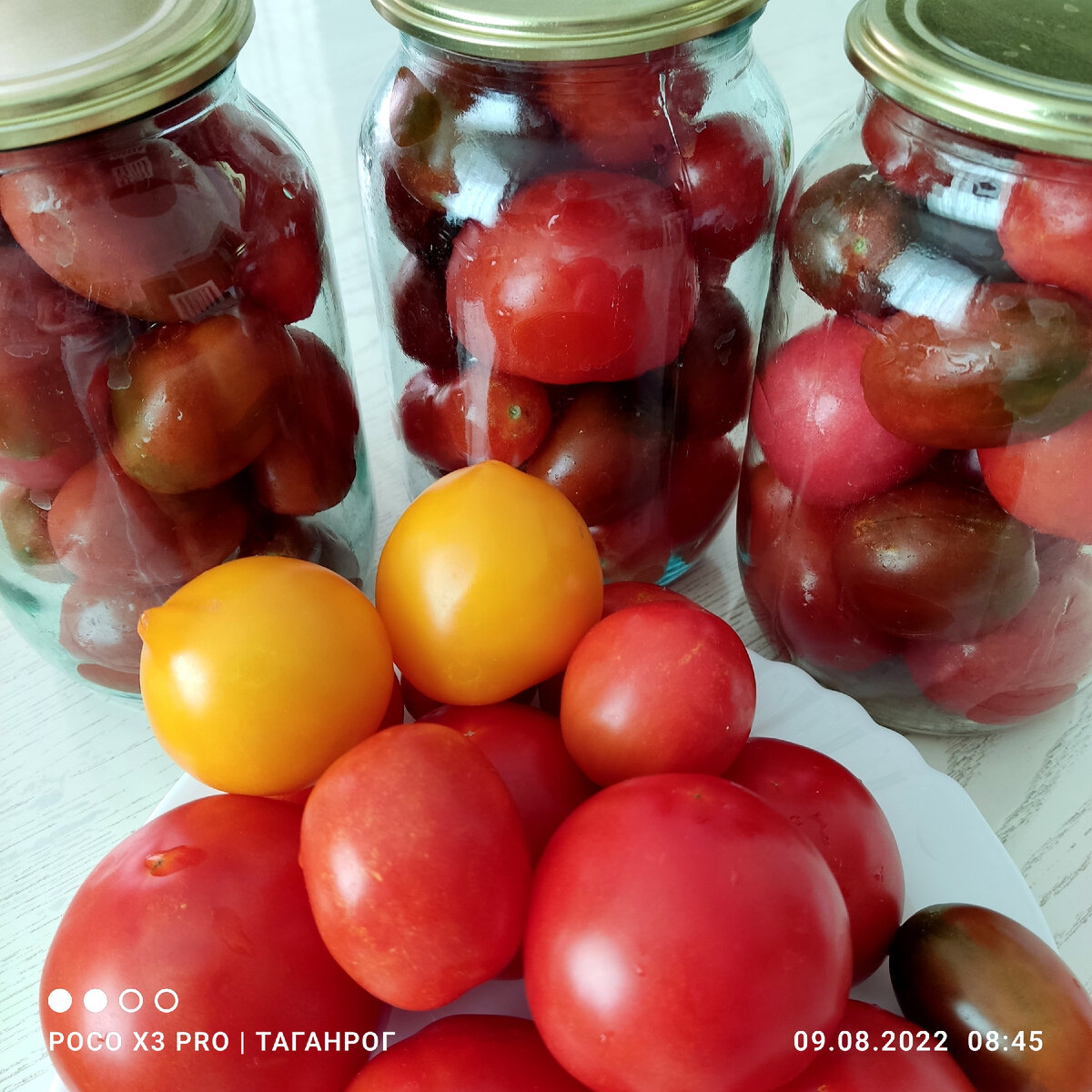 В банки укладываю разные сорта
