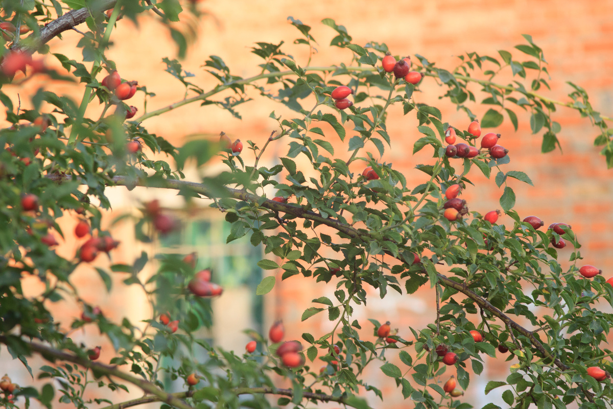 Утренний свет стал теплее