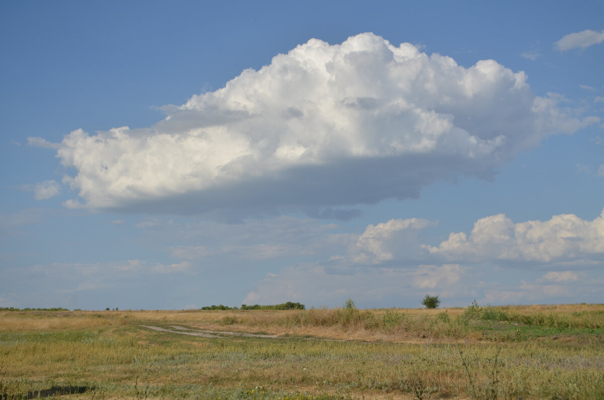 Фото автора 