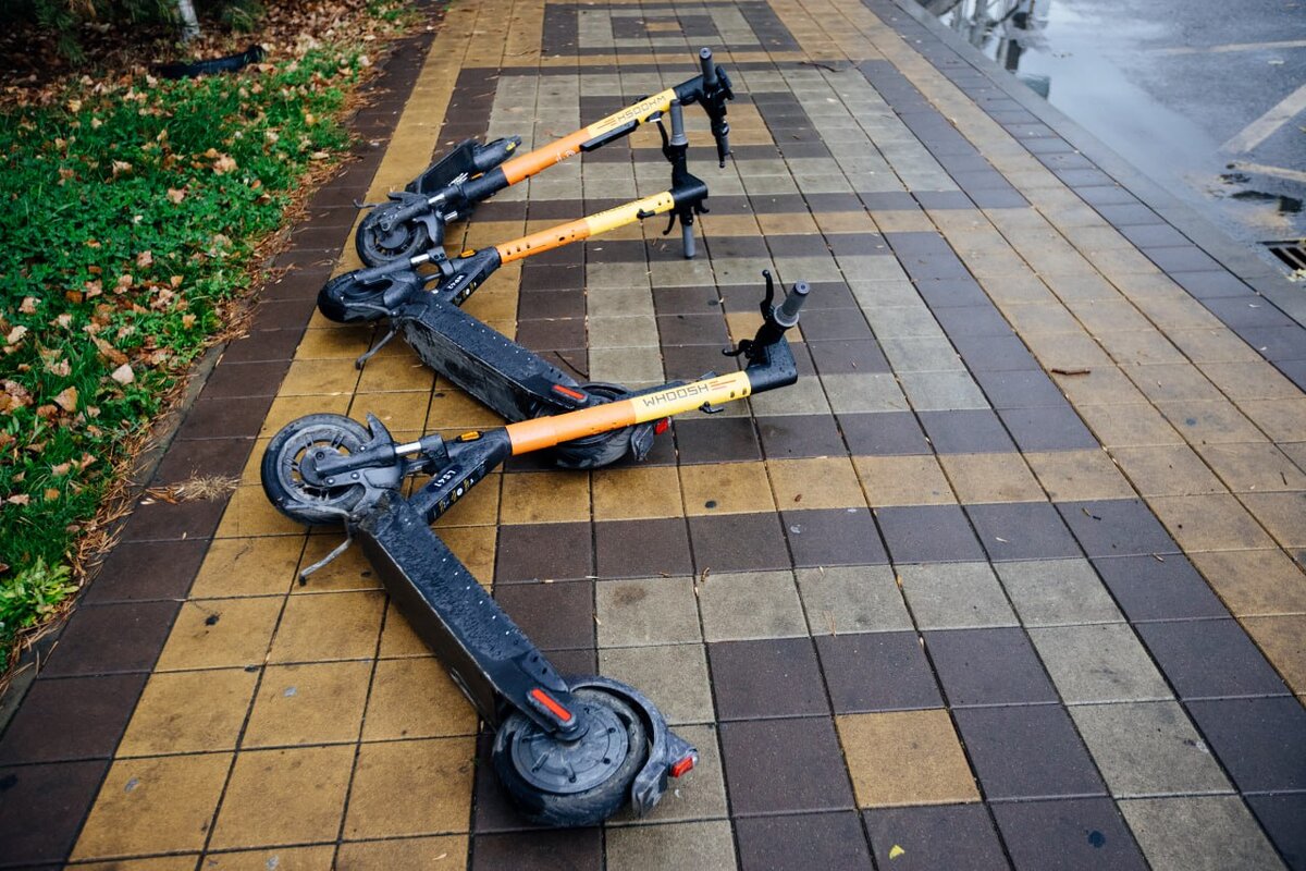 Фото: Денис Яковлев, «Краснодарские известия»