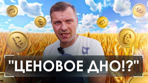 下载视频: ЦЕНЫ НА УРОЖАЙ ЛЕТЯТ ВНИЗ⁉️ ЧТО ПРОИСХОДИТ⁉️КОГДА БУДЕТ РОСТ⁉️ аналитика цен на урожай от