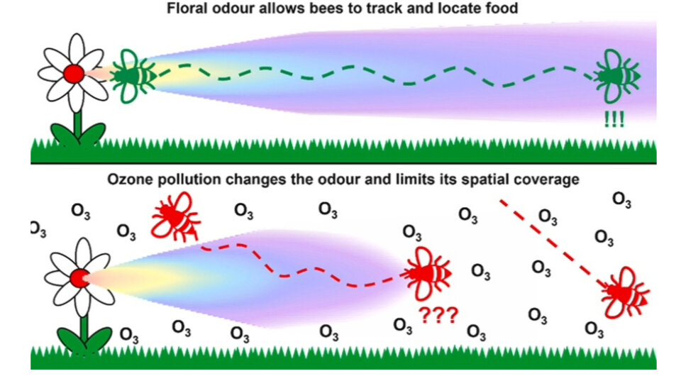  Ben Langford et al. / Environmental Pollution, 2023
