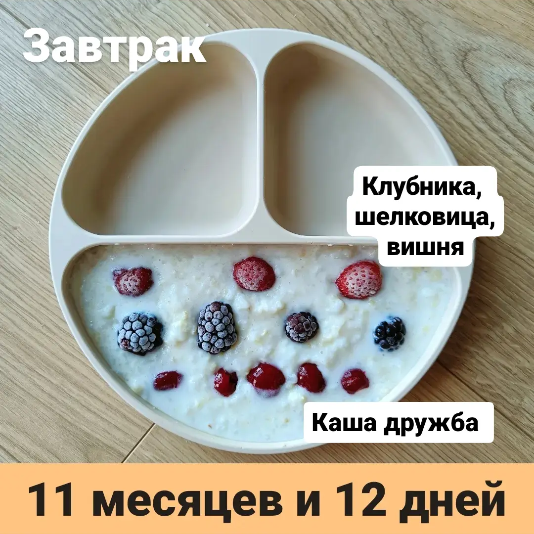 Пример тарелки в 11 месяцев 