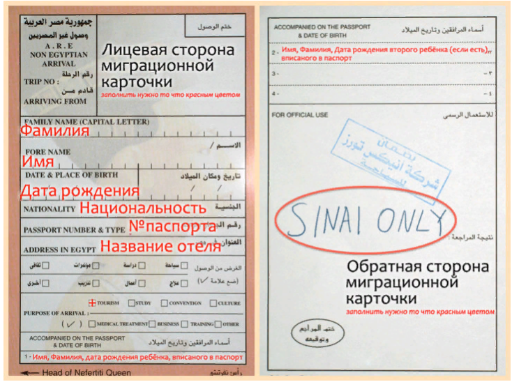 Как оформить визу в Египет в 2023 году | Life.Profit | Дзен
