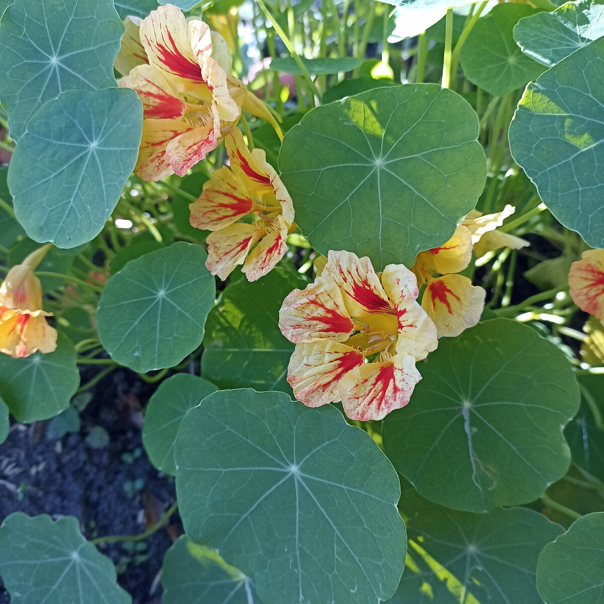 Фото из личного архива