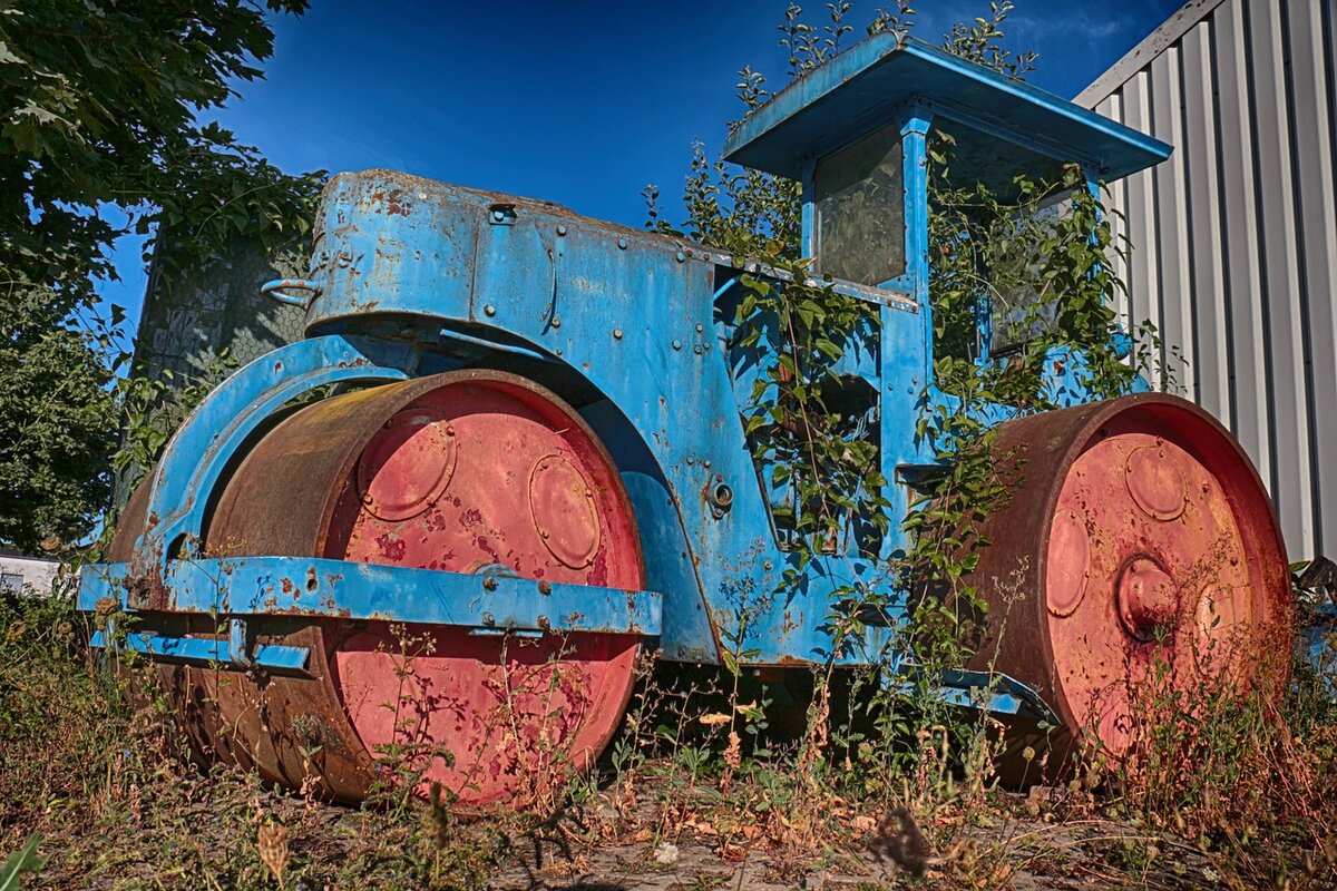 https://pixabay.com/ru/photos/%D0%B4%D0%BE%D1%80%D0%BE%D0%B6%D0%BD%D1%8B%D0%B9-%D0%BA%D0%B0%D1%82%D0%BE%D0%BA-%D1%81%D1%82%D0%B0%D1%80%D1%8B%D0%B9-%D0%B1%D0%BE%D0%BB%D1%8C%D0%BD%D0%BE%D0%B9-3600508/