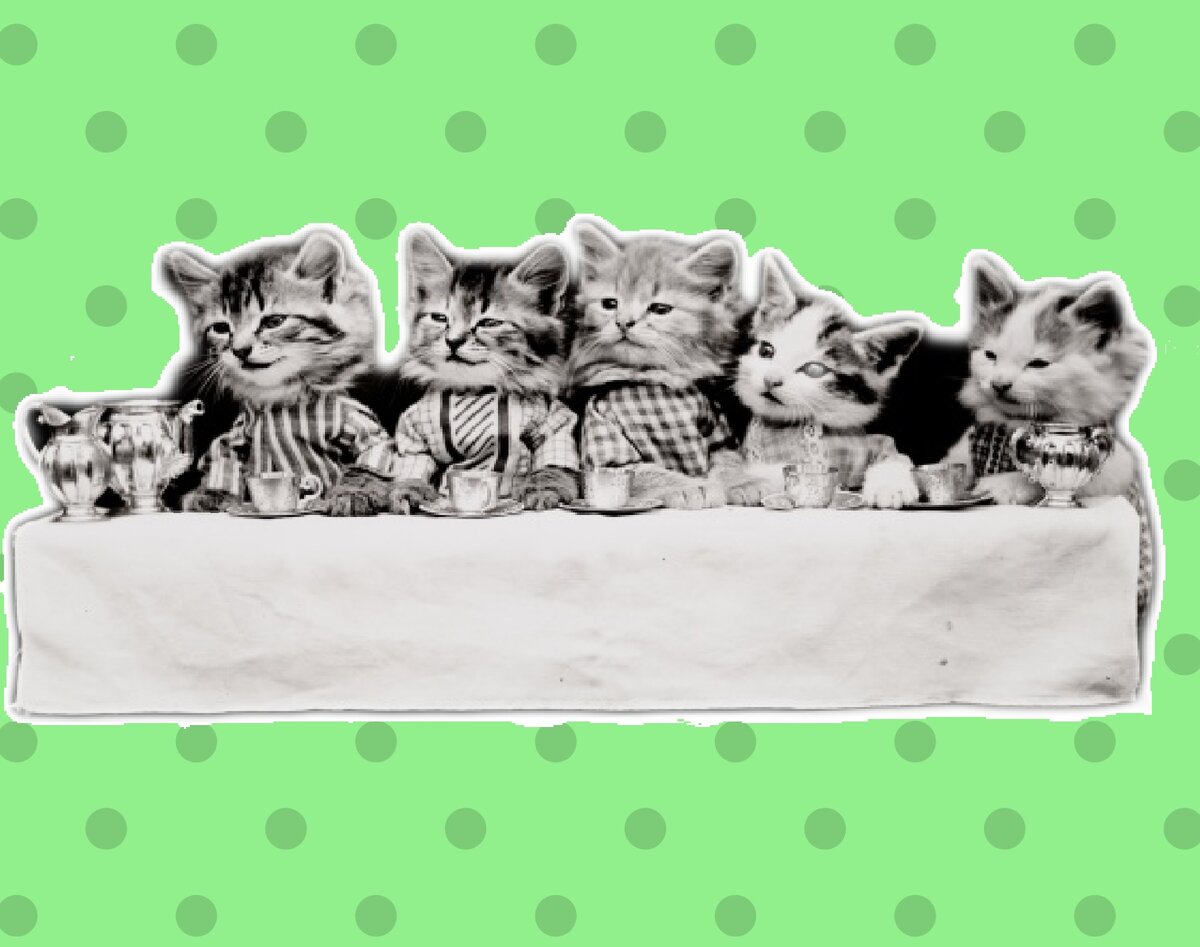 Даже котята пьют чай