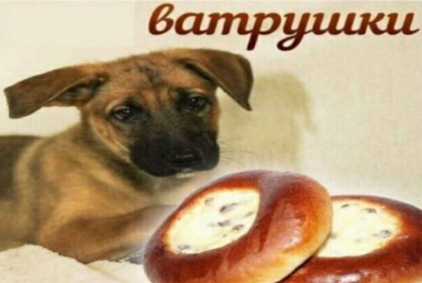 Ватрушки фулл