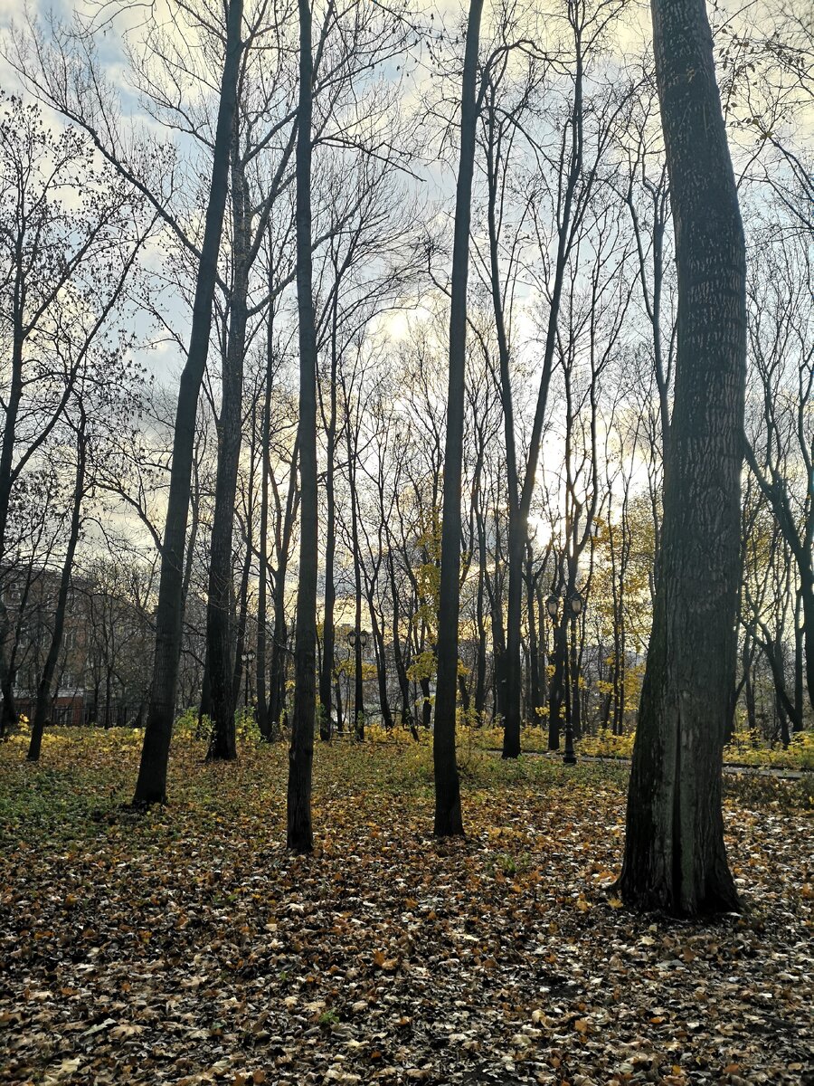 Осень. Прекрасная новость