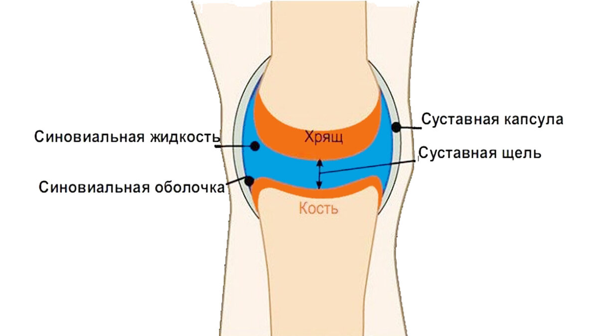 Собралась жидкость