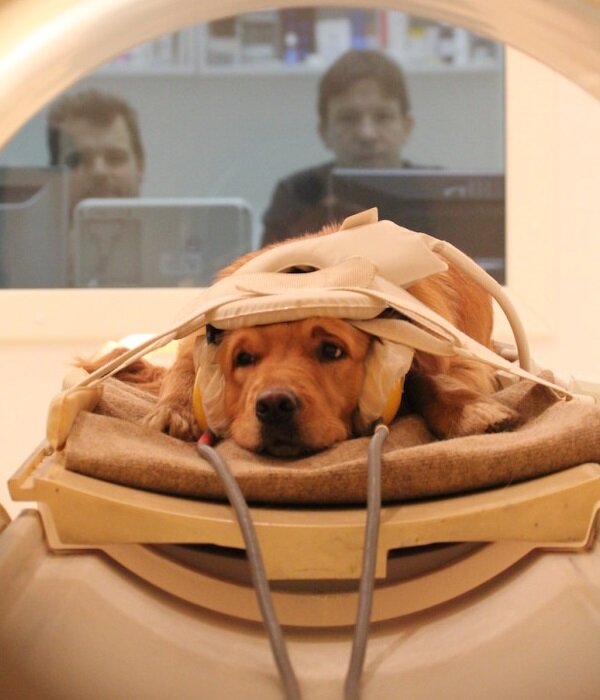 Источник: Яндекс.Картинки