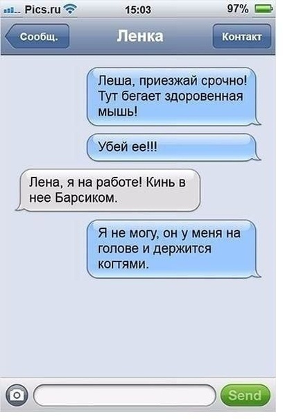 Картинка взята из открытого источника интернета