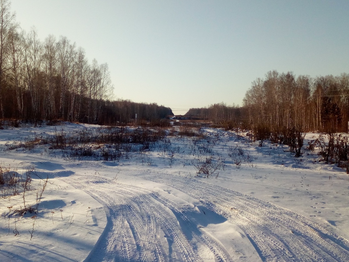 К сожалению, на фото не видно того,что я увидела. Слишком далеко для камеры.