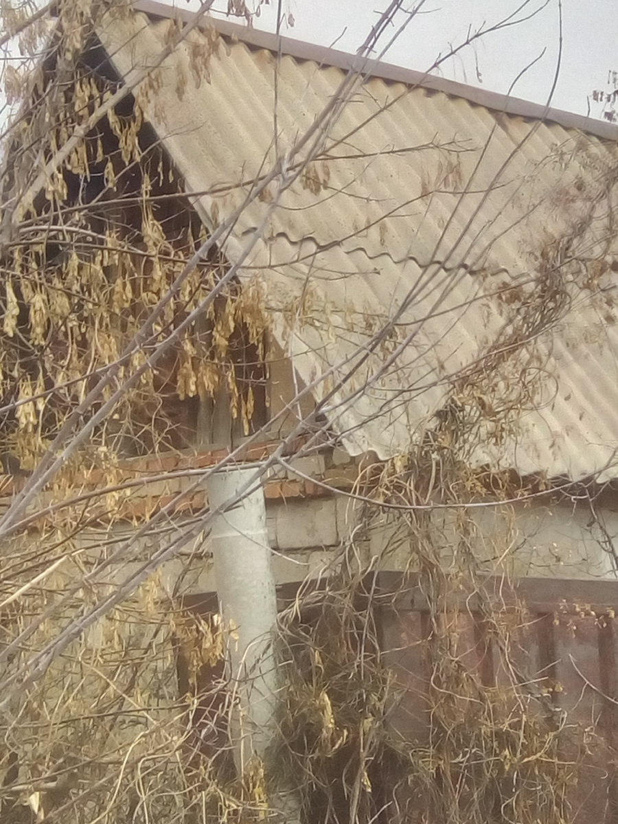 Это баня личное фото