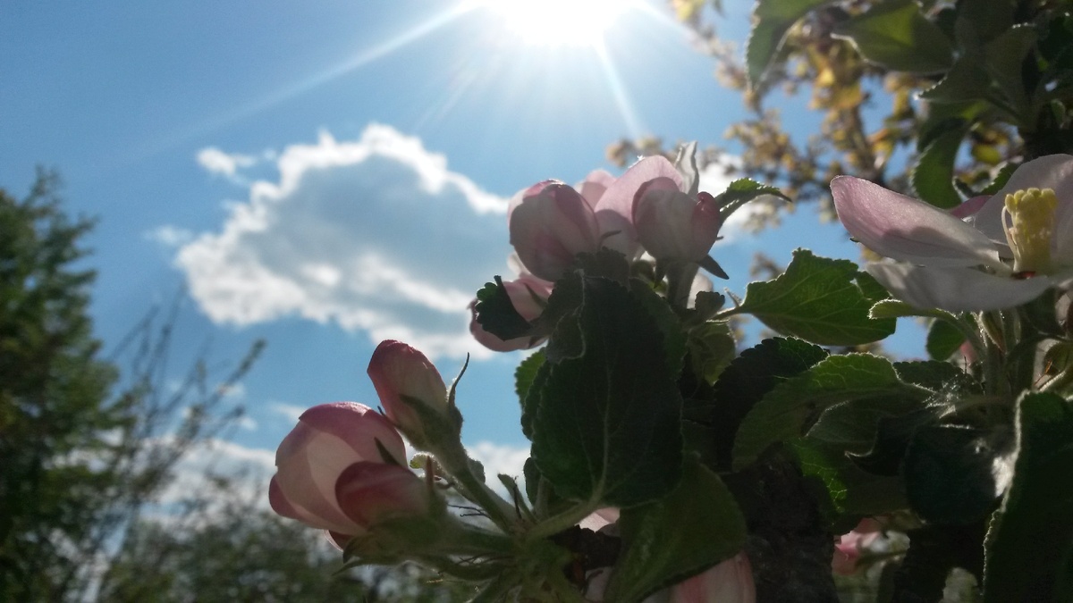 Что есть жизнь? - "Игра света на гранях Бытия"