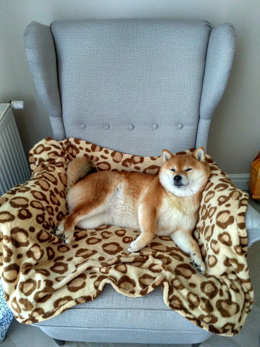 Она думает, что главная. Но это пока я отвернулась)))